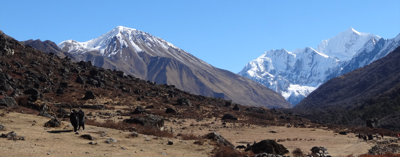 Langtang Valley Trek