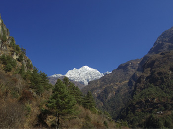 Chola Pass Trek