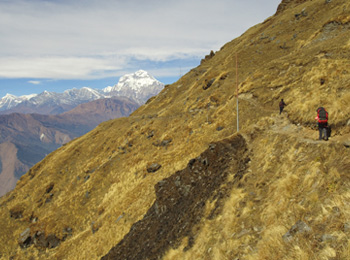 Khopra Danda Trek