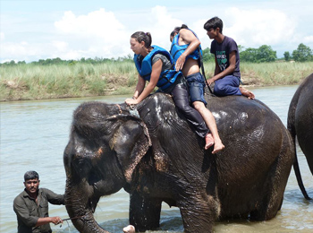 Chitwan Jungle Safari