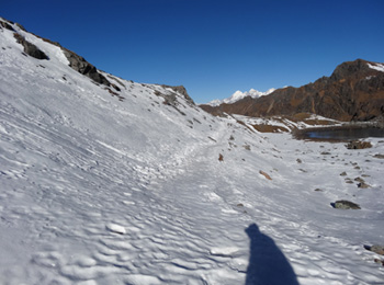 Tamang Heritage Langtang Gosainkunda Trek